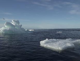 Arctic sea ice at record low October levels: Danish institute