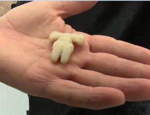 Mother goddess figurine found in İzmir