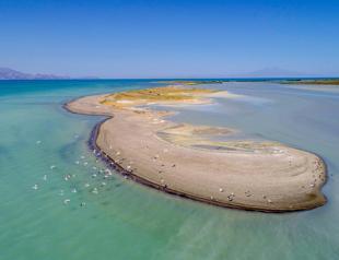 Lake Van turns white as water level recedes