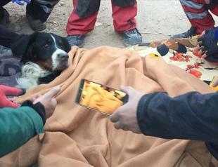Quake victim, dog reunited after 65 hours