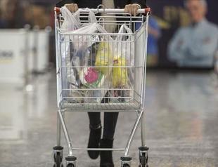 Turkeys annual inflation rate at 11.89% in October