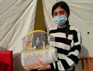 Girl’s decision to save her bird saves her life instead