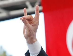 France says Turkish nationalist Grey Wolves group disbanded