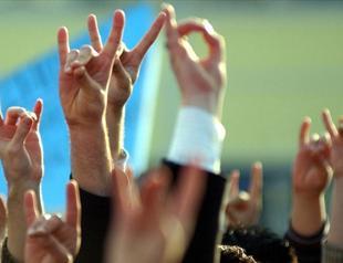 Ankara lambasts French ban on Grey Wolves group