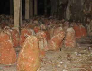 Turkish Roquefort fights with imitators as it sets sights on competing with French cheese