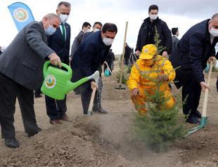 Turkey targets 7 bln saplings to be planted by 2023