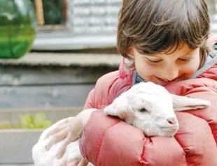 Sustainable Living Film Festival at Pera Museum