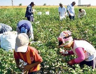 Some 720,000 child laborers work across country
