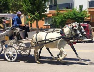 Three-wheelers to replace horse carriages in Edirne