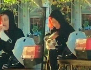 Hamster biter woman detained by police, fined