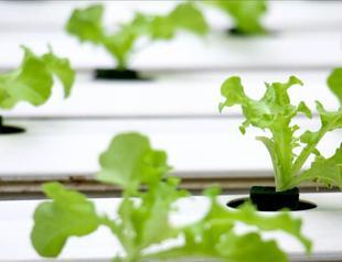 Swiss-Indian joint agri-food venture invests in Turkey