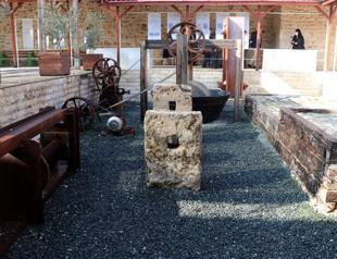 Olive museum in Turkey’s south enlightens visitors