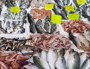 Fish population rises as fines for poaching increase