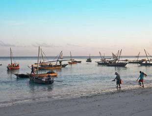 Zanzibar secures $3 bln from Turkish firm to boost fishing