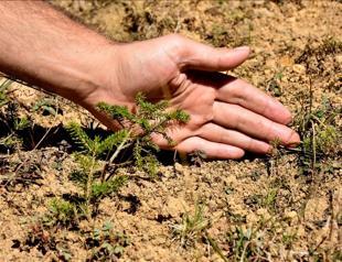 Authorities create biodiversity map across country
