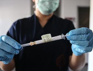 Virus vaccinations to be carried out in four stages, says health minister