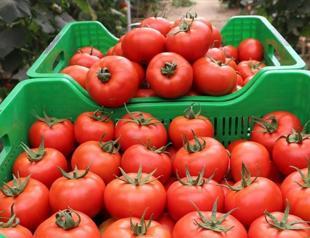 Turkeys annual inflation rate at 14.03% in November