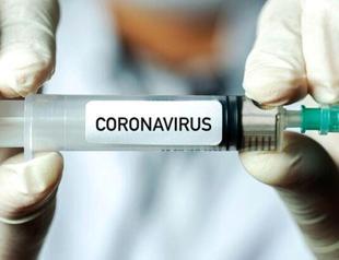 Nations plan for vaccine as global virus cases top 65 million