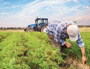 Farmers paid $1.5 bln in assistance in 8 years: Gov’t