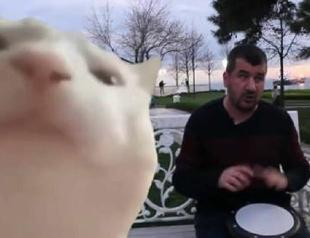 Visually-impaired Turkish musician in ‘cat vibing to Ievan Polka’ video wants to play for US president-elect