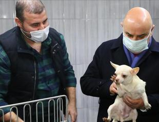 Over 3,000 people applied for adoption of animals kept in poor conditions