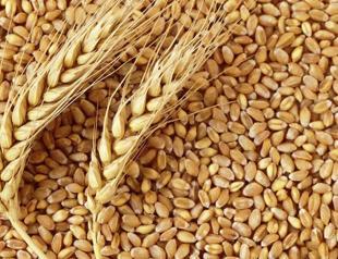 Turkey extends zero-tariffs on wheat imports to April
