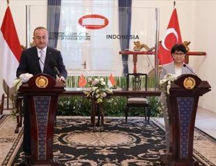 Turkey, Indonesia should unite against Islamophobia
