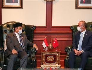 Turkey-Indonesia have huge trade potential: FM Çavuşoğlu