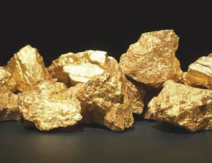 Turkey reports major gold discovery