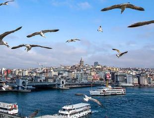 Experts warn of climate change in Turkey as trees bloom early