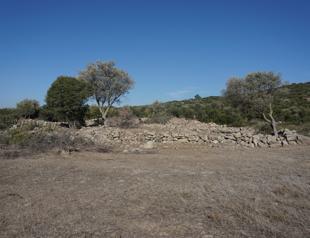 Ruins of Aphrodite Temple found in Urla