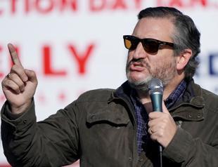 US Senator Cruz leads long-shot Republican bid to overturn Bidens victory