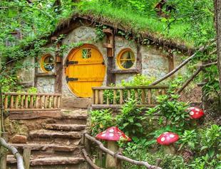 Wildlife park draws visitors despite pandemic