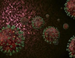 Turkey tightens measures amid cases of virus variant