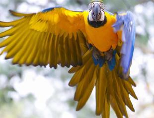 Winter shift starts in Turkish zoos