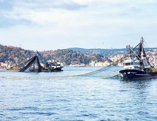 Fishing nets in depths of Bosphorus Strait threatening marine wildlife: Experts