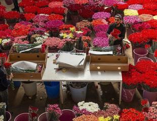Turkey exports flowers to 83 countries in 2020