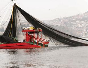 Fishermen cast nets in Bosphorus despite anchovy ban