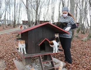 ‘Cat town’ offers pleasant moments for felines