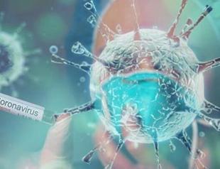 Global COVID-19 death toll passes two million