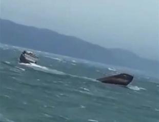 Palau-flagged ship sinks off Black Sea coast