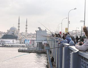 Overfishing, pollution threatening bluefish population