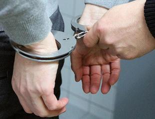 ISIL assassin caught in northwestern Turkey: Interior minister