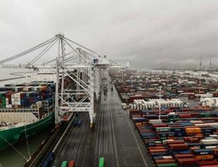 Container shipping sector navigates COVID pandemic