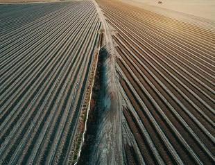 Agricultural lands narrowing significantly, says former official