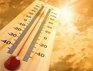 Hottest January record breaks in 72 sites of Turkey