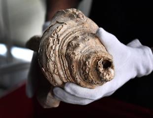 Earliest shell horn played for first time in 17,000 years