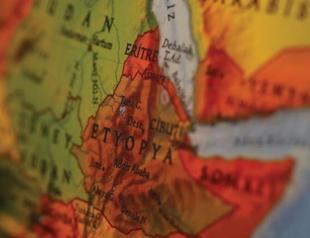 Turkey eyeing more investments in Ethiopia: Envoy