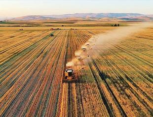 Turkish, Kiwi experts discuss smart agriculture