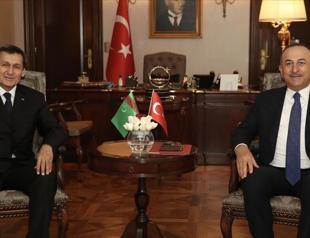 Ankara ready to help carry Turkmen gas to Europe via Turkey: Turkish FM